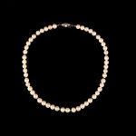 972 6256 PEARL NECKLACE